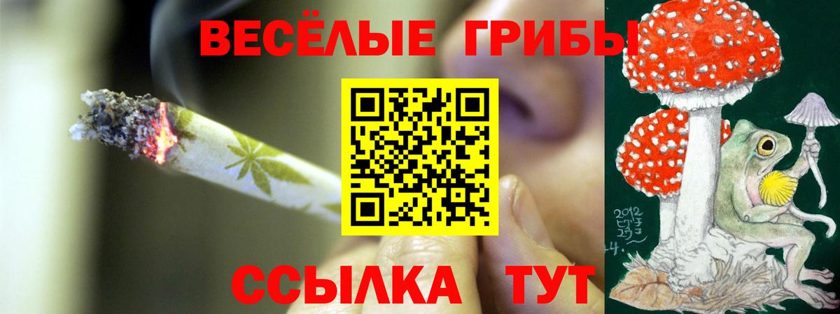Псилоцибиновые грибы Psilocybine cubensis Кудымкар